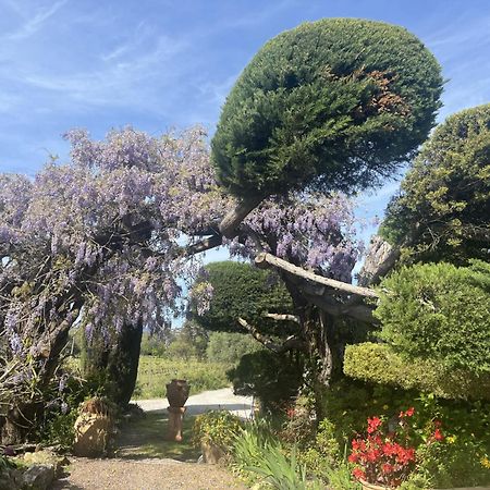La Maison De Justine Grimaud Bagian luar foto