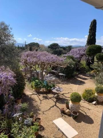 La Maison De Justine Grimaud Bagian luar foto