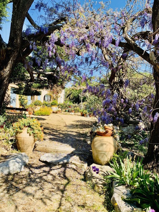 La Maison De Justine Grimaud Bagian luar foto