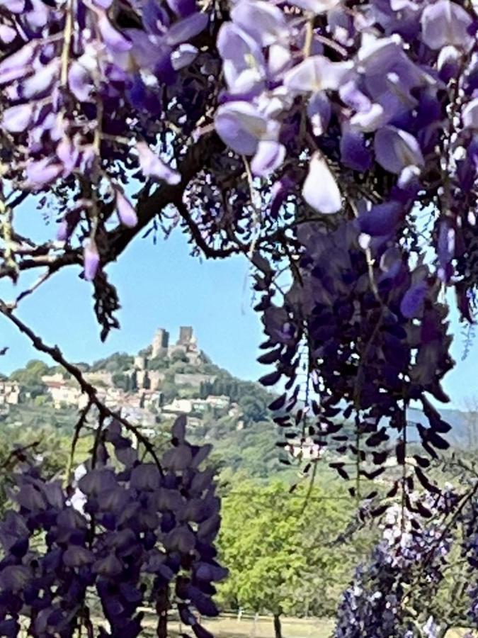 La Maison De Justine Grimaud Bagian luar foto