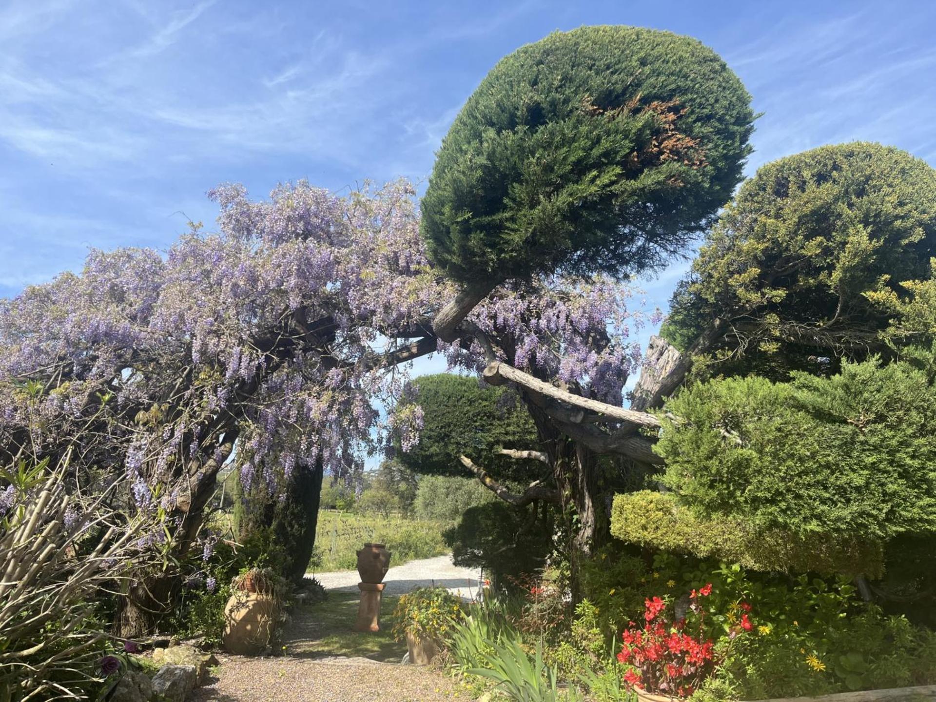 La Maison De Justine Grimaud Bagian luar foto